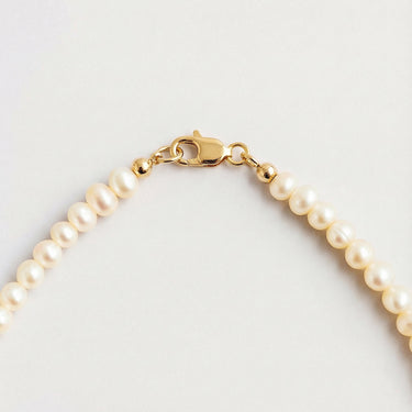 A macro close-up of small white pearls finished with a high-polish gold lobster clasp.
